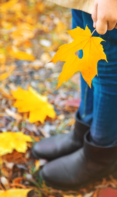 Foto niño en el parque con hojas de otoño.