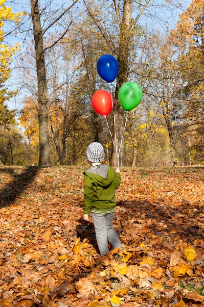 Niño pasea entre árboles con hojas de colores en la temporada de otoño, clima soleado a principios o mediados del otoño