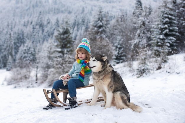 Niño paseando en trineo disfrutando de un paseo en trineo con un perro husky niño sentado en el trineo los niños juegan con nieve