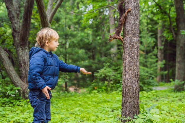 Niño y pequeña ardilla en el parque