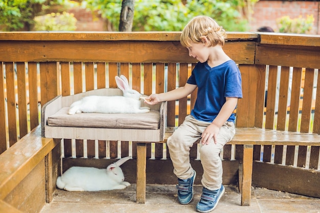 Niño pequeño acaricia y juega con conejo en el zoológico de mascotas. concepto de sostenibilidad, amor por la naturaleza, respeto por el mundo y amor por los animales. Ecológico, biológico, vegano, vegetariano