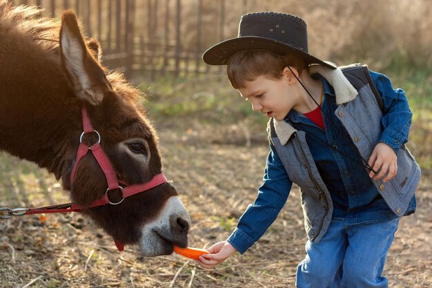 niño pequeño alimentando verduras de burro