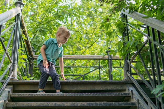 Un niño pequeño baja las escaleras en el bosque.