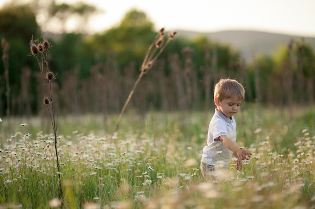 Foto un niño pequeño con una camisa blanca camina en una pradera floreciente verde primavera