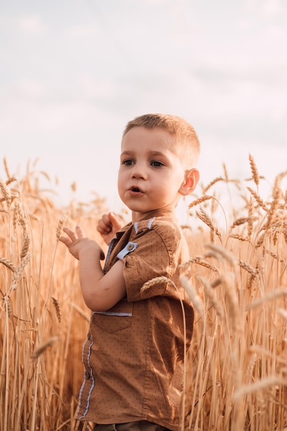 Un niño pequeño se para en un campo con trigo contra el cielo.