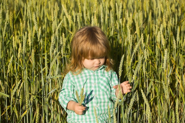 Niño pequeño en campo verde de hierba de espiguillas