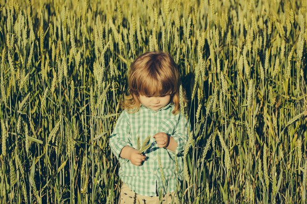 Niño pequeño en campo verde de hierba de espiguillas