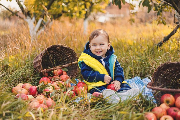 Niño pequeño con una canasta de manzanas en el jardín de otoño Niño comiendo frutas en la cosecha de otoño Diversión al aire libre para niños Nutrición saludable