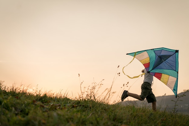 Niño pequeño con cometa en pradera