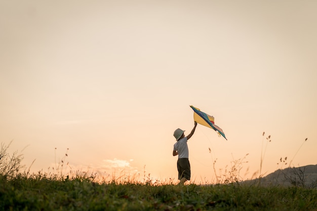 Niño pequeño con cometa en pradera