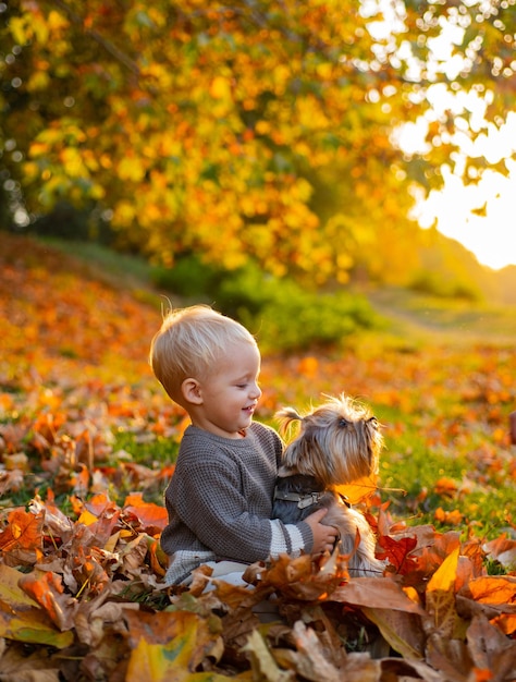 Niño pequeño disfruta del otoño con un amigo perro. Niño pequeño bebé en día soleado de otoño a pie con perro. Calidez y comodidad. Infancia feliz. Dulces recuerdos de la infancia. Juego de niños con perro yorkshire terrier