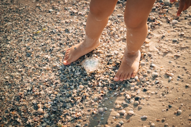 Un niño pequeño se encuentra en la playa cerca de una medusa.