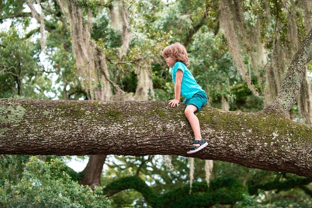 El niño pequeño está escalando y sentado en lo alto de un árbol