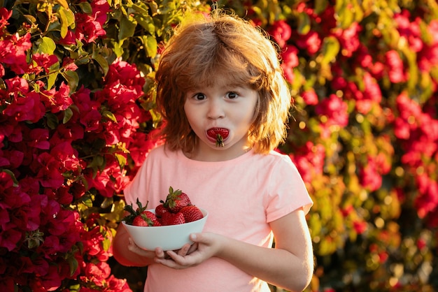 Niño pequeño feliz con fresas frescas niño pequeño feliz recogiendo y comiendo fresas k