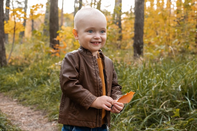 Niño pequeño feliz sonriendo, sosteniendo hojas de otoño, divirtiéndose en el bosque de otoño