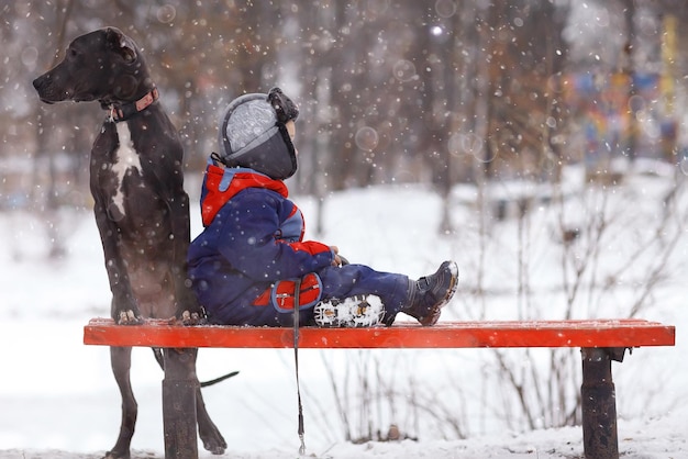 niño pequeño con una gran raza de perro negro