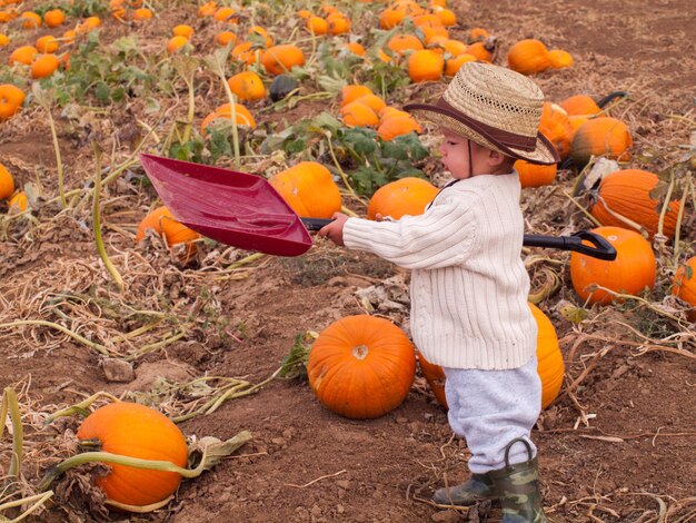 Niño pequeño en la granja.