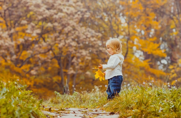 El niño pequeño con una hoja de arce camina en el parque de otoño
