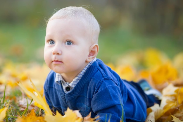 Niño pequeño en las hojas de otoño Hermoso bebé pequeño en follaje de arce amarillo