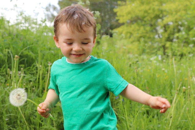 Un niño pequeño juega con dientes de león en el exterior de verano