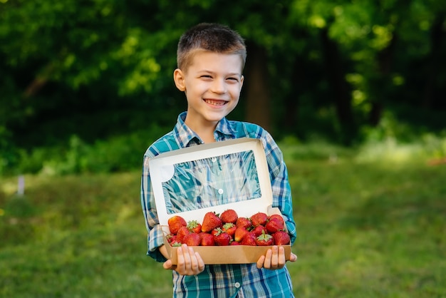 Un niño pequeño y lindo se encuentra con una caja grande de fresas maduras y deliciosas.