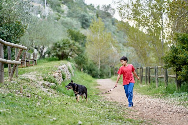 Un niño pequeño y lindo, paseando a su perrito en un campo rural de colza junto a él, un niño caminando por un pequeño sendero