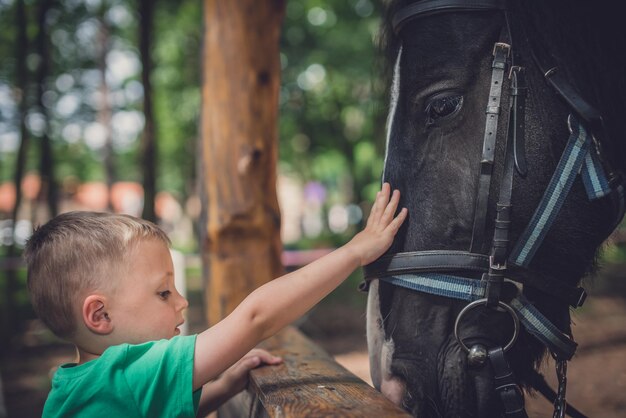 Niño pequeño lindo que toca la cabeza de caballo