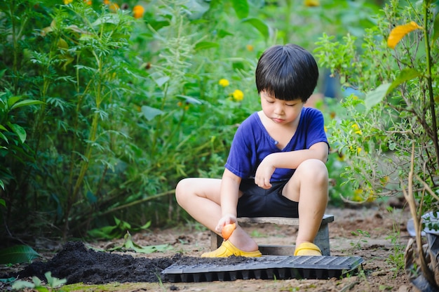 El niño pequeño llena las semillas en las macetas para plantar la verdura en el jardín fuera de la casa.