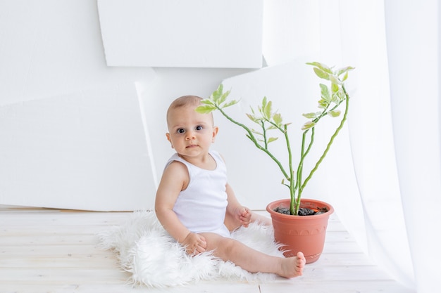 Un niño pequeño, un niño de 8 meses, está sentado con ropa blanca en un departamento luminoso junto a la ventana con una flor de la habitación