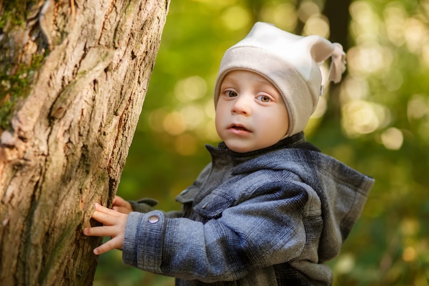 Niño pequeño, en, otoño, parque