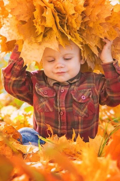 Niño pequeño en el parque en hojas de otoño Enfoque selectivo