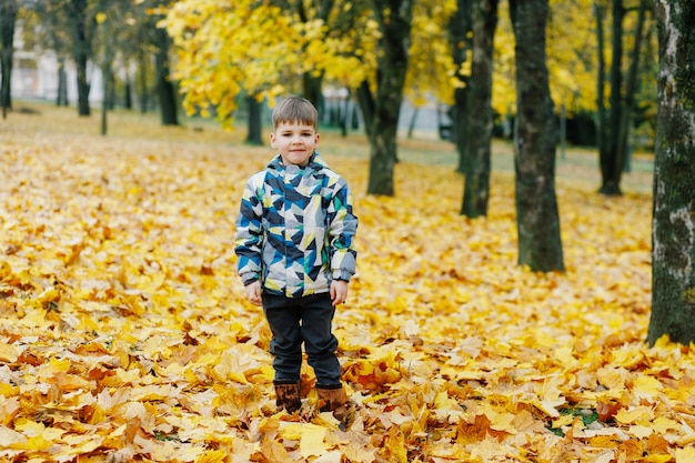 Niño pequeño en el parque otoño