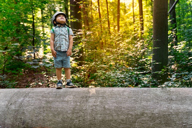 Niño pequeño de pie sobre un gran tronco de olmo en un bosque en Bélgica. Niño con casco de seguridad explorando la naturaleza. Puesta de sol en un parque.