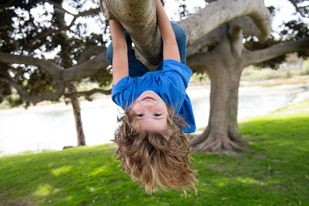 Niño pequeño en la rama de un árbol trepando y colgando retrato infantil de un hermoso niño en el parque entre...