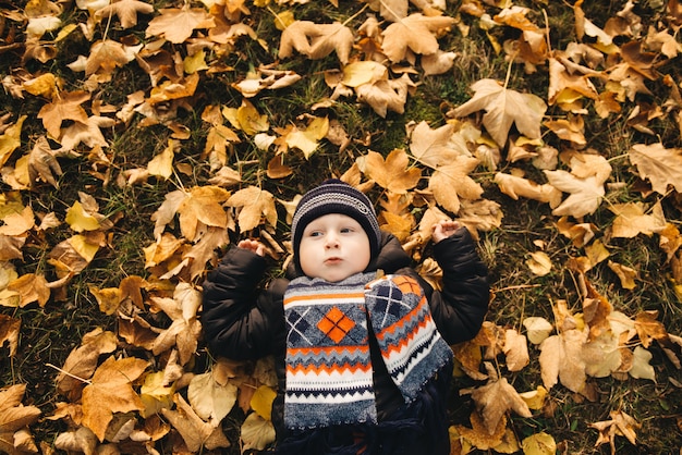 Niño pequeño sentado en las hojas amarillas en otoño