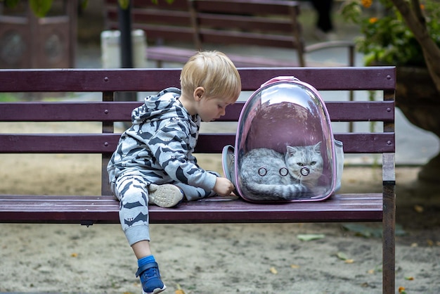 Un niño pequeño se sienta en un banco del parque con su mascota, un gato británico. El gato está en una mochila transportadora.
