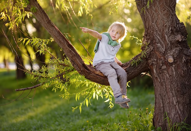 El niño pequeño se sienta en una rama de un árbol grande y señala con su dedo.