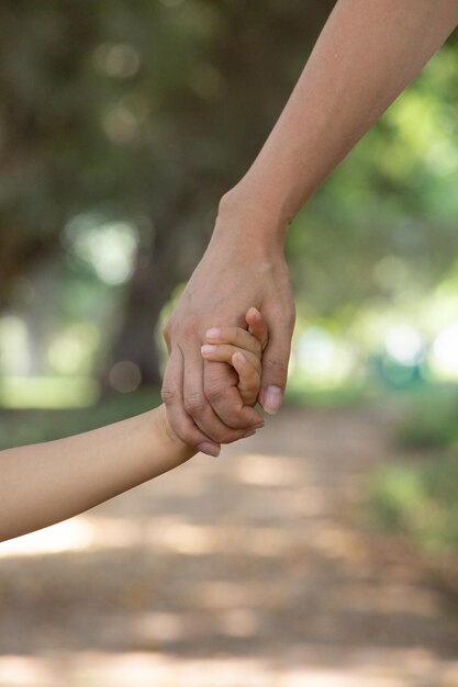 Niño pequeño sosteniendo la mano de la madre miembro de la familia como una familia unida