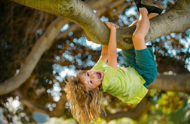 Niño pequeño tratando de trepar a un árbol niños trepando a un árbol niño feliz disfrutando del día de verano en un