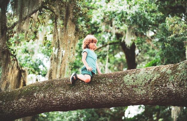 Niño pequeño trepó a un árbol y se sentó en la rama de un árbol.