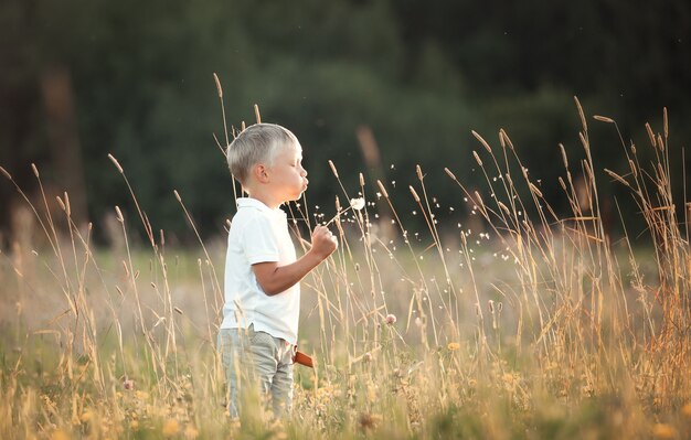 niño pequeño en verano en un paseo por el campo soplando diente de león