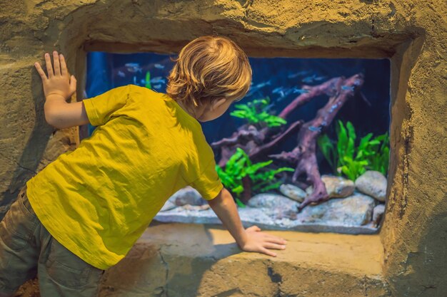 Niño pequeño viendo el cardumen de peces nadando en el oceanario niños disfrutando de la vida submarina en el acuario