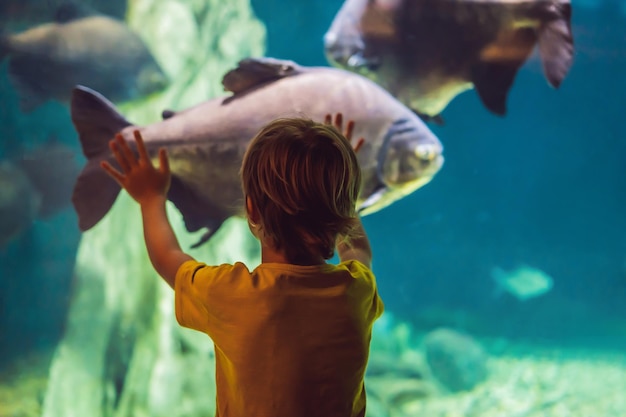 Niño pequeño viendo el cardumen de peces nadando en el oceanario niños disfrutando de la vida submarina en el acuario