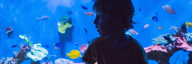 Niño pequeño viendo el cardumen de peces nadando en el oceanario niños disfrutando de la vida submarina