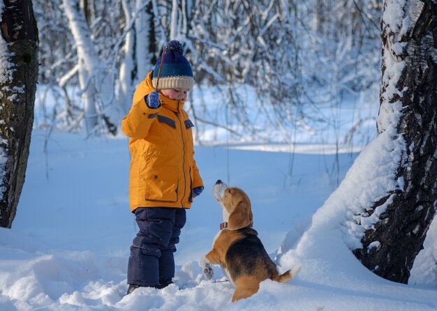 Niño y perro Beagle caminando y jugando en el bosque cubierto de nieve de invierno en un día soleado helado