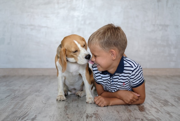 Niño y perro Beagle jugando en el suelo de la habitación.