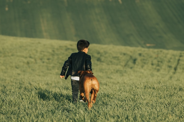 Niño y perro en campo. Perro boxer