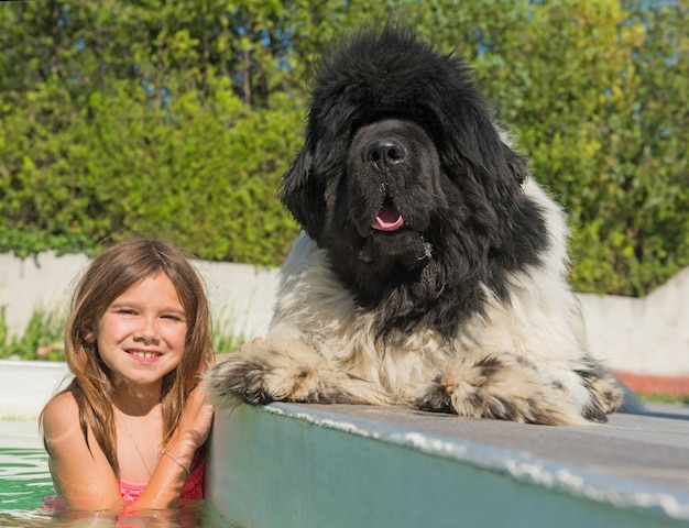 Niño y perro de Newfoundland en piscina