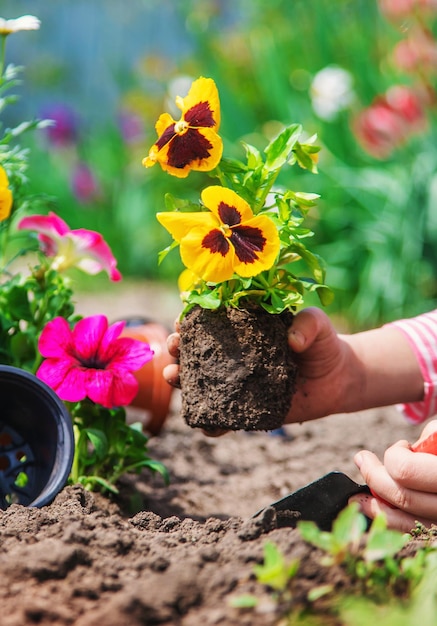 Foto un niño planta un jardín de flores enfoque selectivo