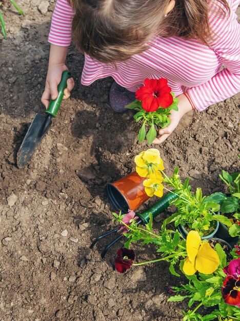 Un niño planta un jardín de flores. Enfoque selectivo.